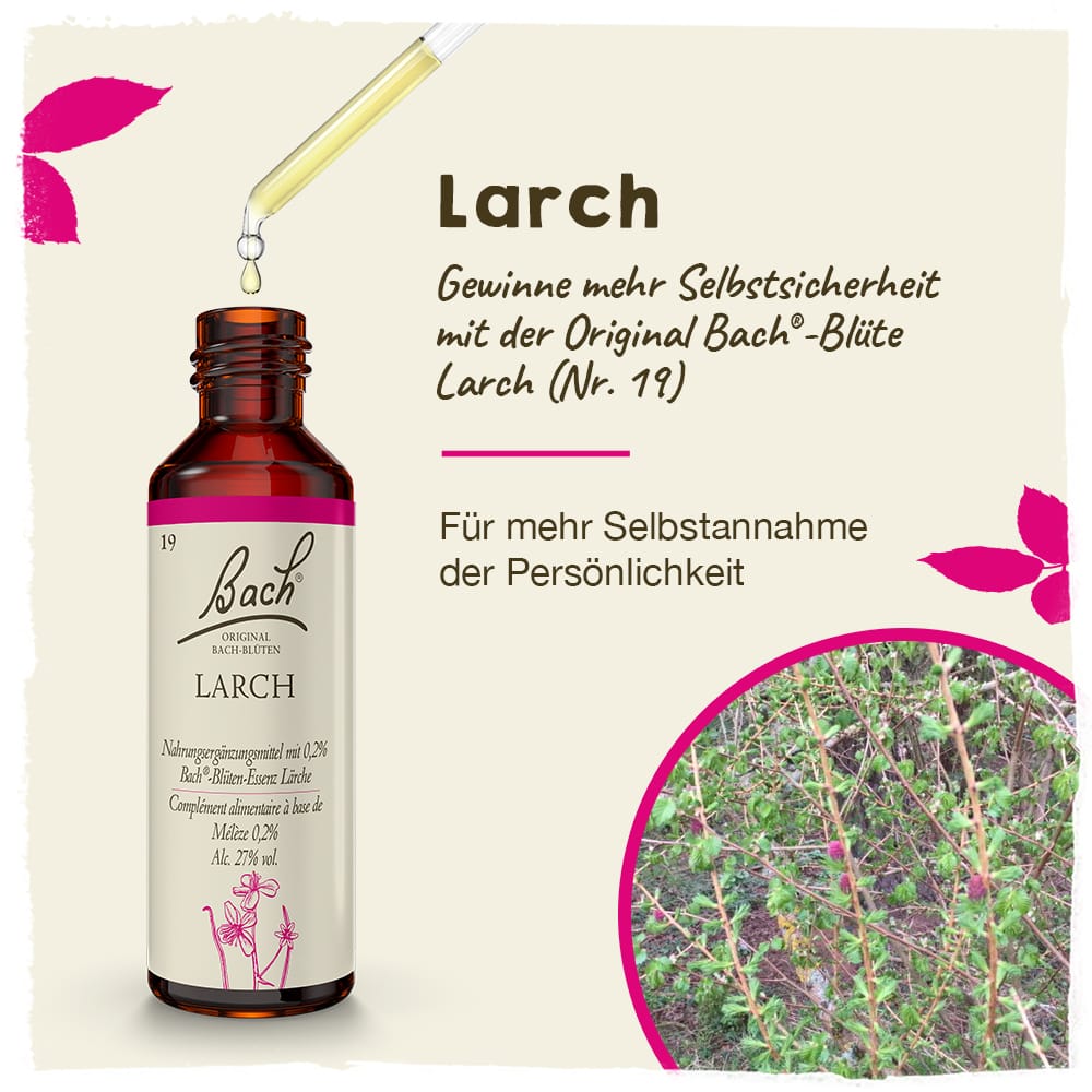 Bach Flower Remedy 20ml Original Bach® Flower Dropper Larch