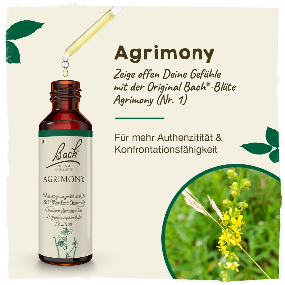Bach Flower Remedy 20ml Original Bach® Flower Dropper Agrimony