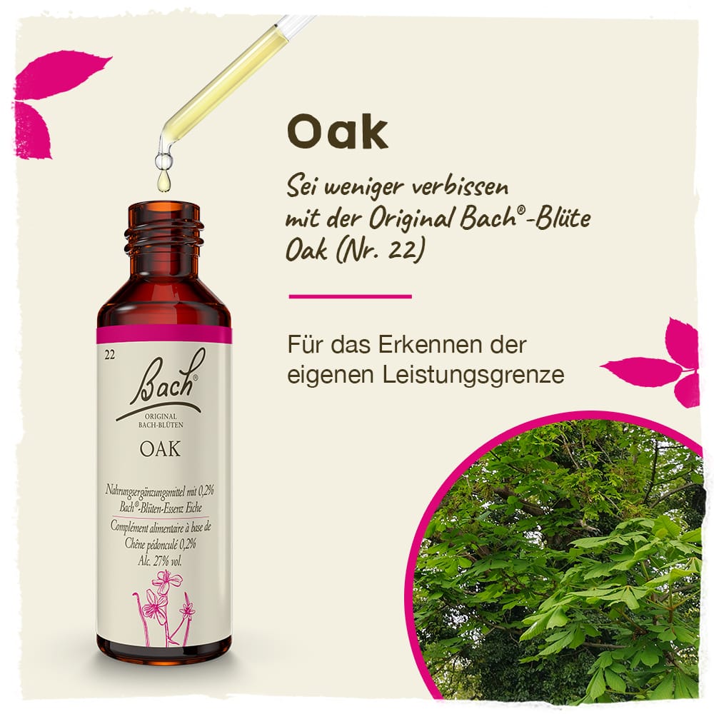 Bach Flower Remedy 20ml Original Bach® Flower Dropper Oak