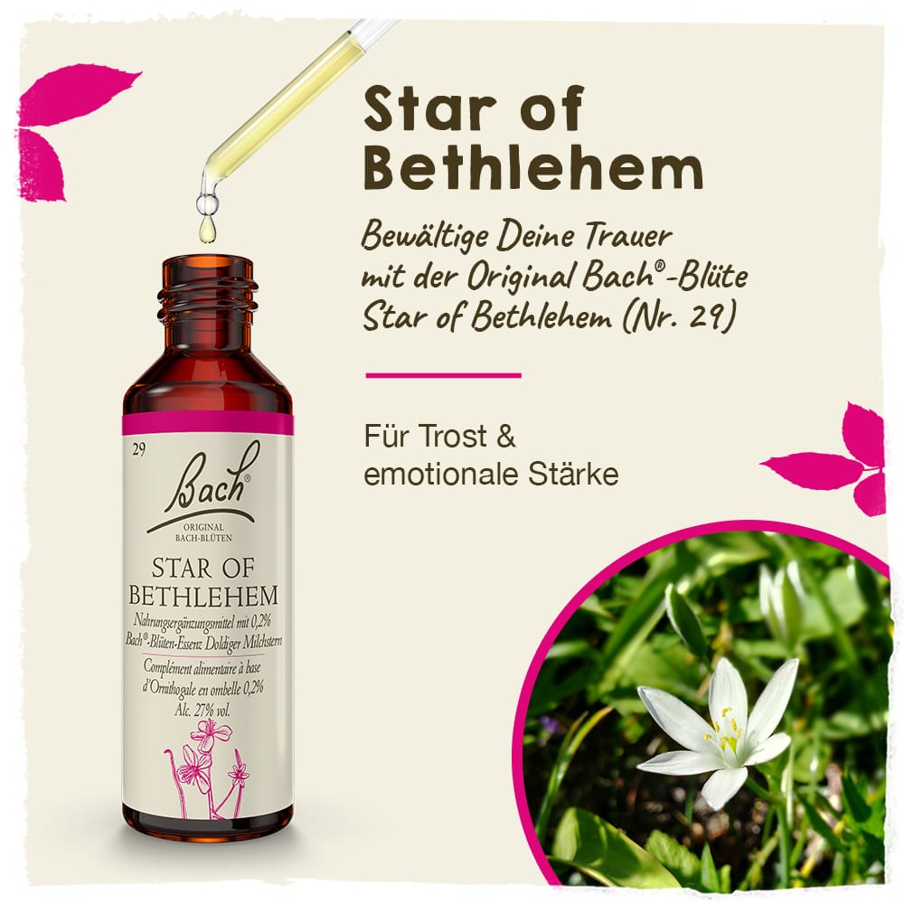 Bach Flower Remedy 20ml Original Bach® Flower Dropper Star of Bethlehem