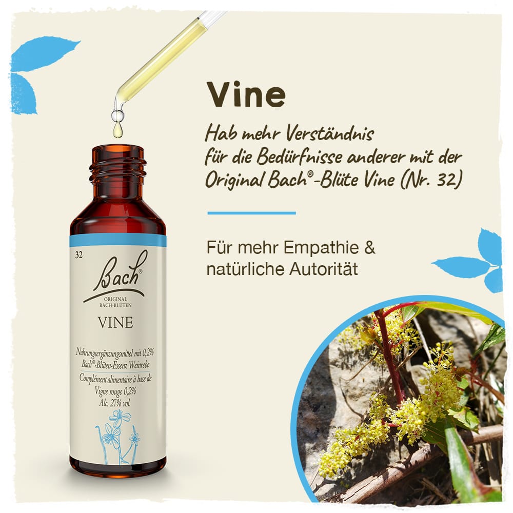 Bach Flower Remedy 20ml Original Bach® Flower Dropper Vine