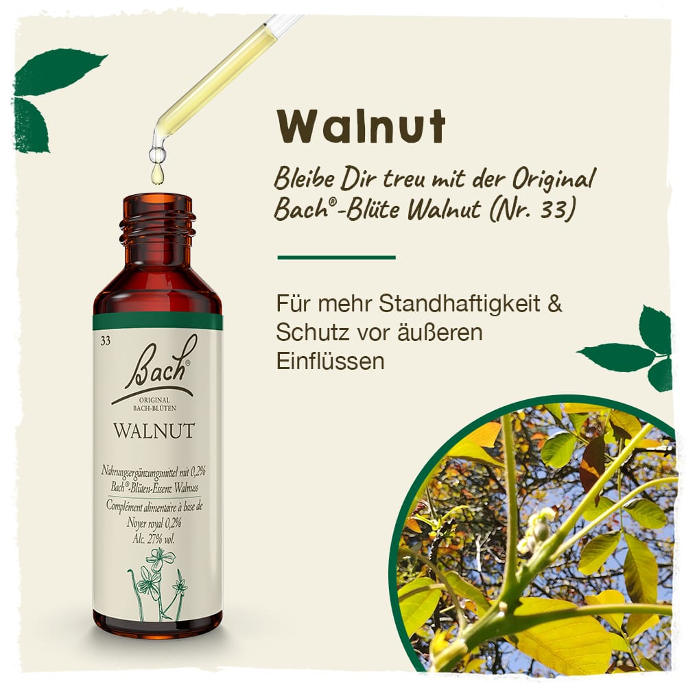 Bach Flower Remedy 20ml Original Bach® Flower Dropper Walnut