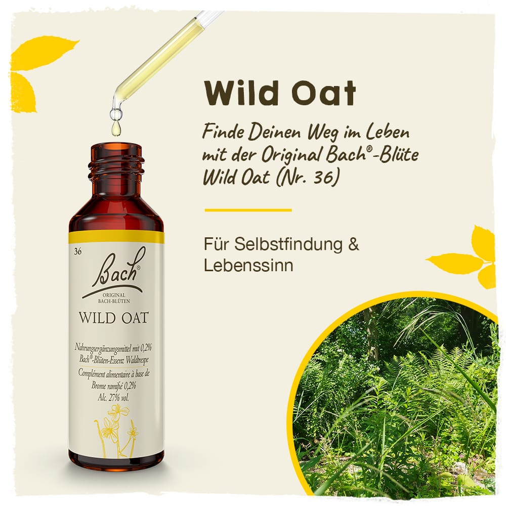 Bach Flower Remedy 20ml Original Bach® Flower Dropper Wild Oat