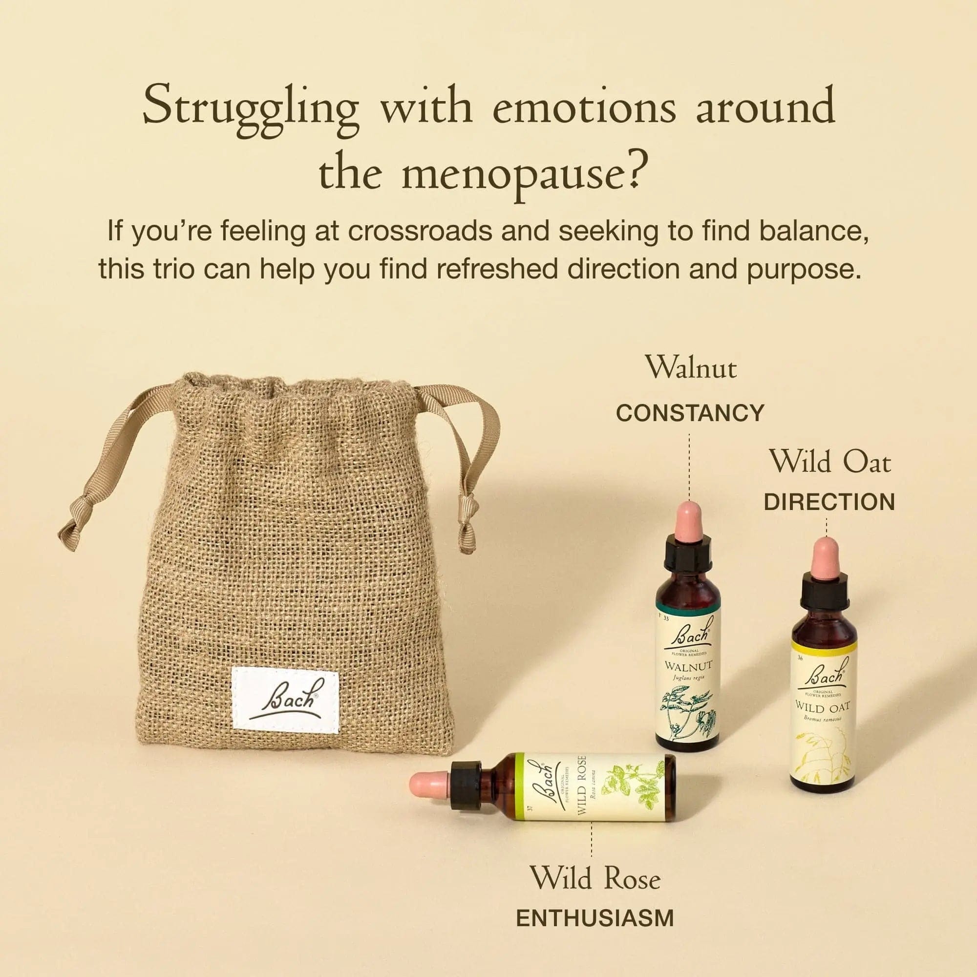 Bach Bundle 20ml Bach™ Flowers for Balance