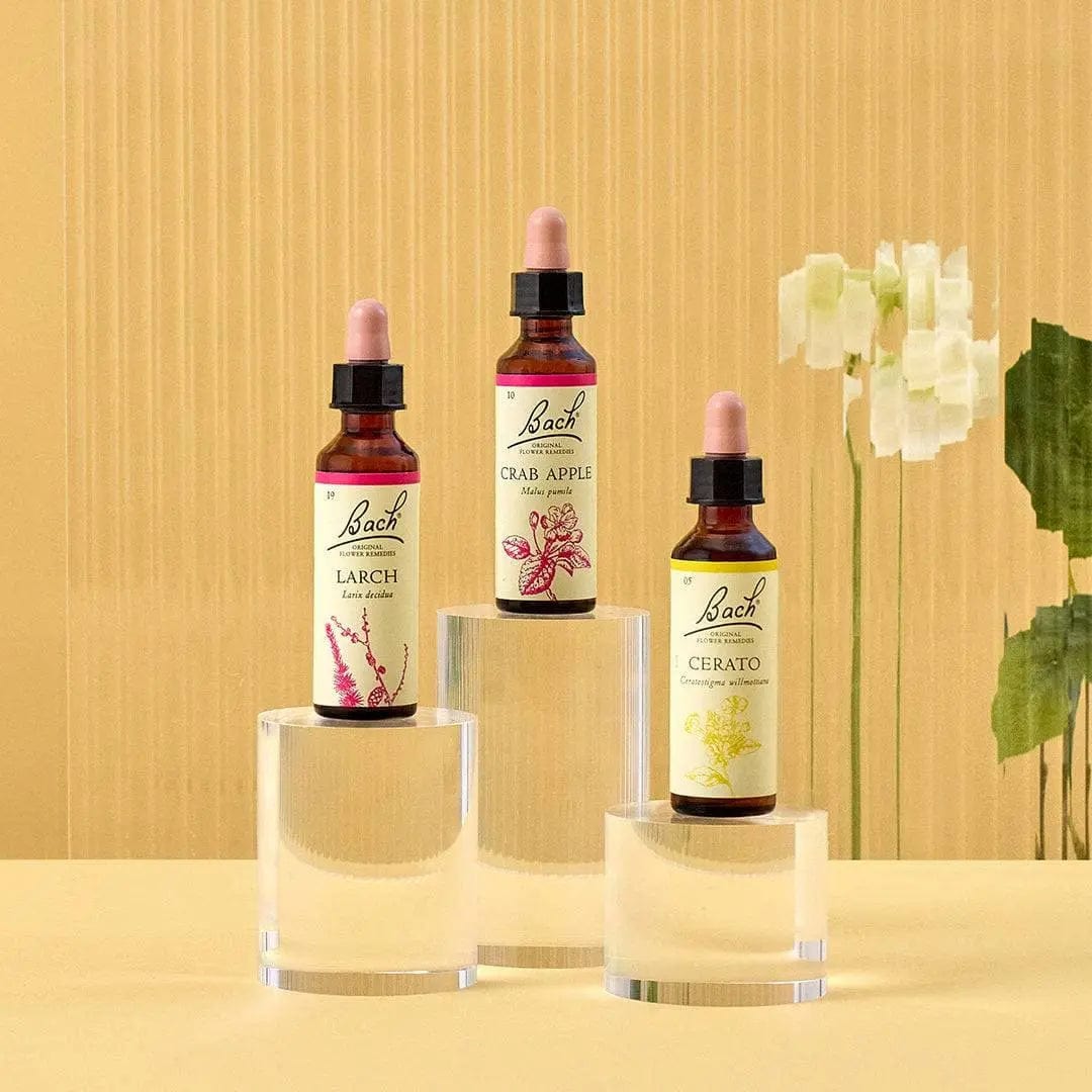 Bach Bundle 20ml Bach™ Flowers for Confidence