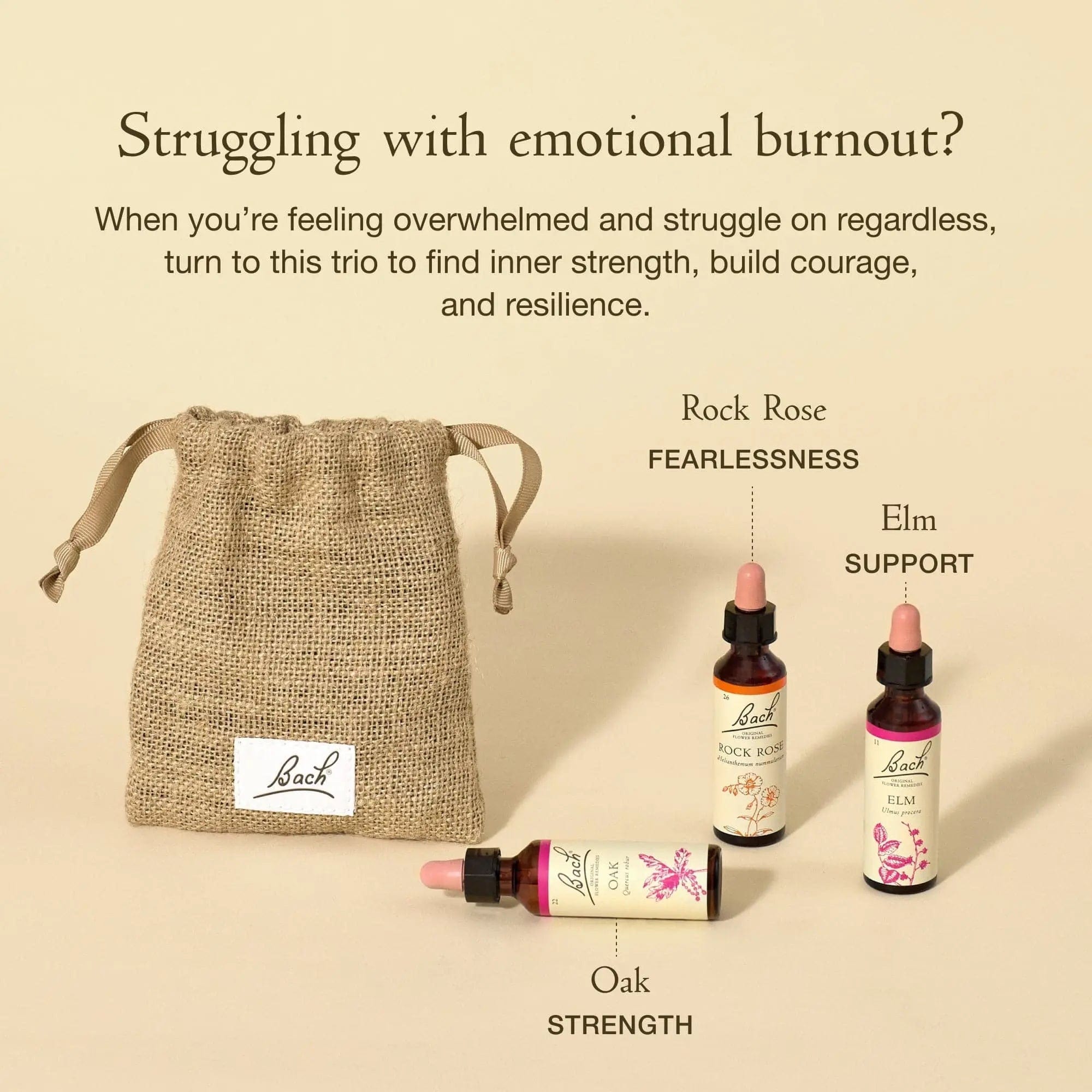 Bach Bundle 20ml Bach™ Flowers for Inner Strength