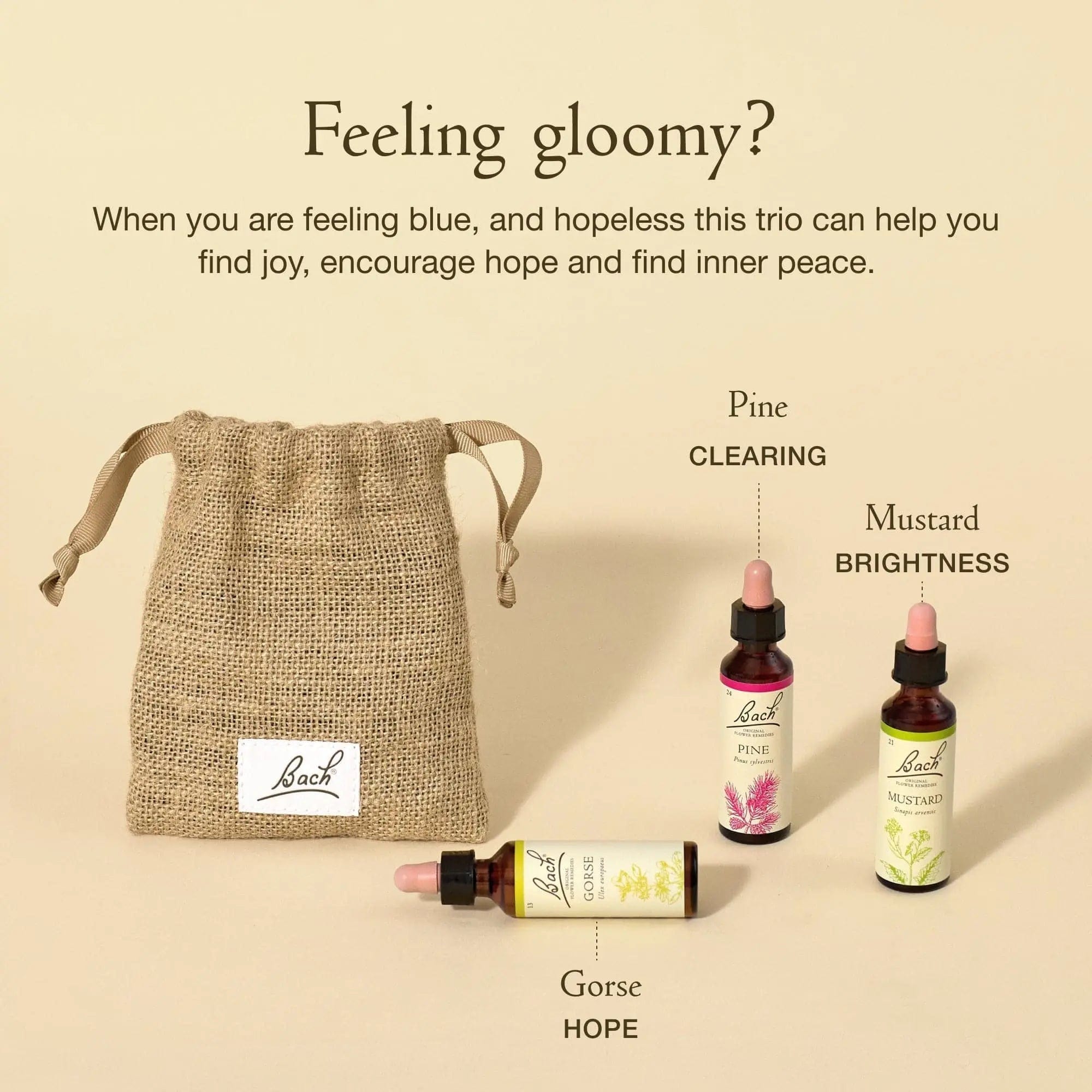 Bach Bundle 20ml Bach™ Flowers for Joy