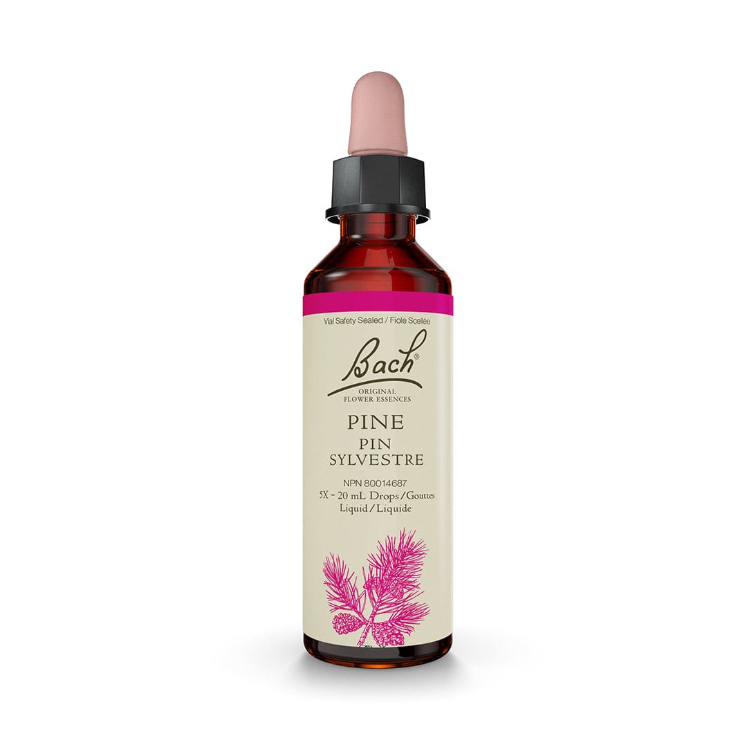 Bach Flower Remedy 20ml Bach® Pine