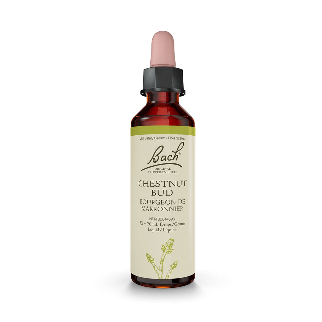 Bach Flower Remedy 20ml Bach® Chestnut Bud