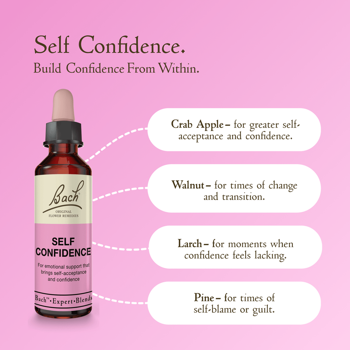 Bach Flower Remedy 20ml Bach Self Confidence Blend