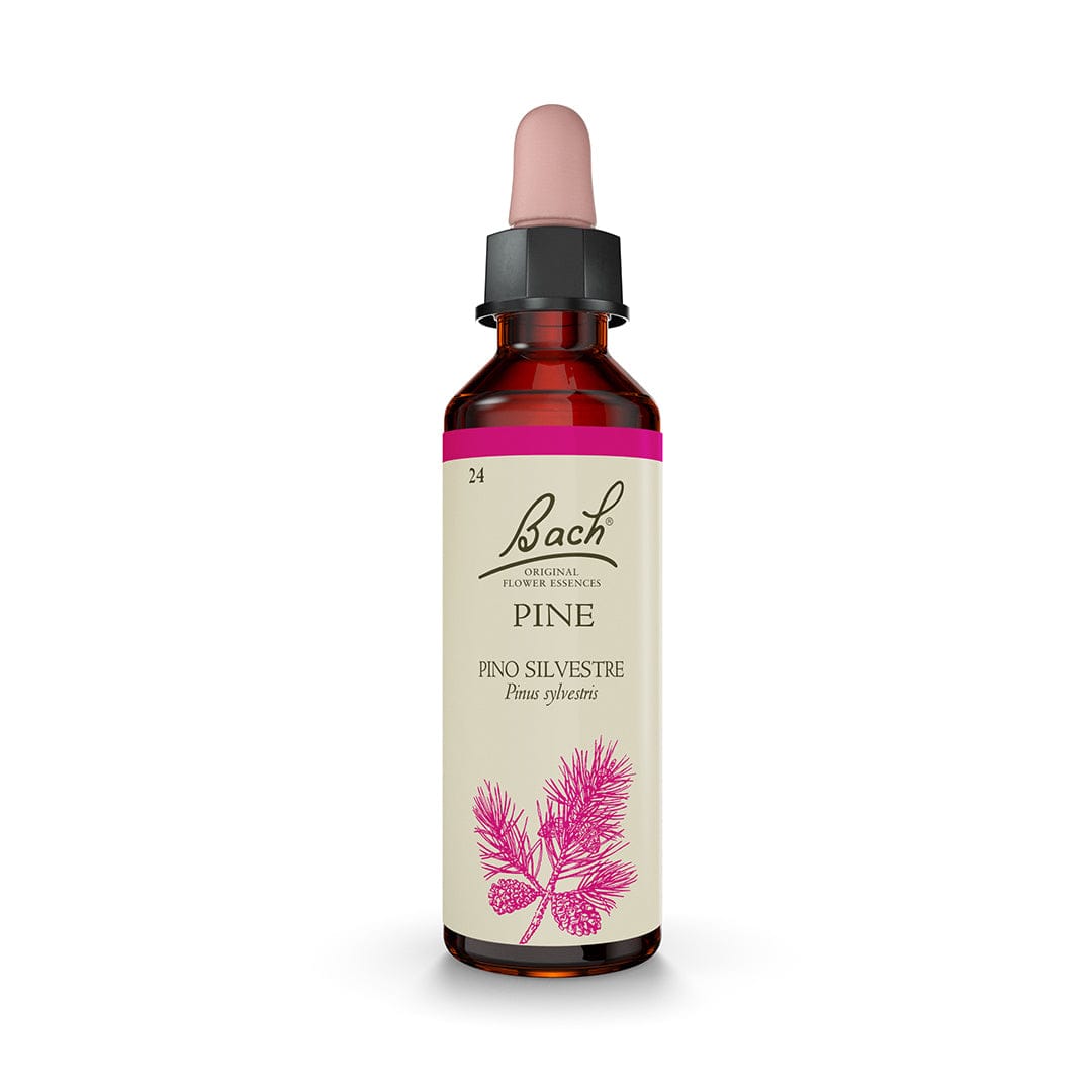 Bach Flower Remedy 20ml Bach® Flowers Original Pine