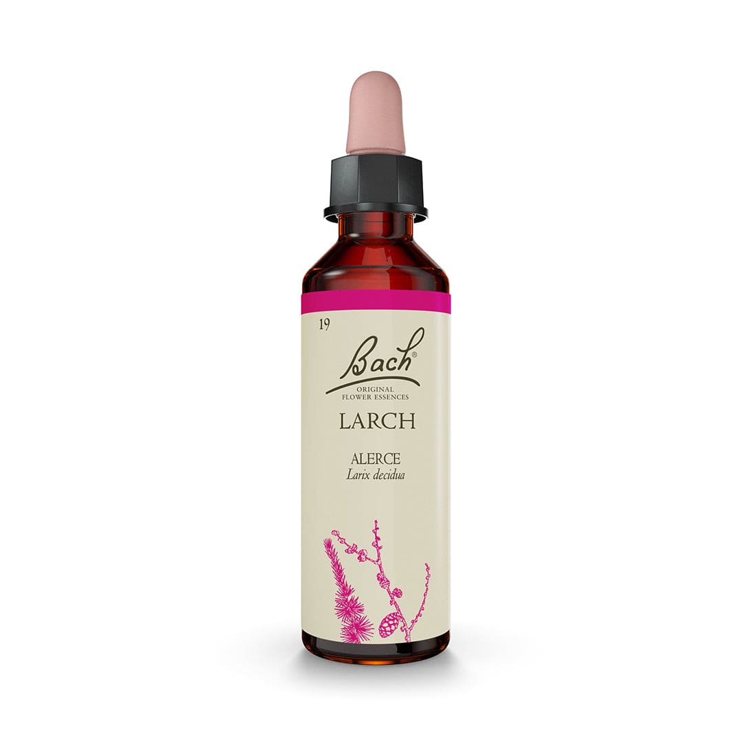 Bach Flower Remedy 20ml Bach® Flowers Original Larch