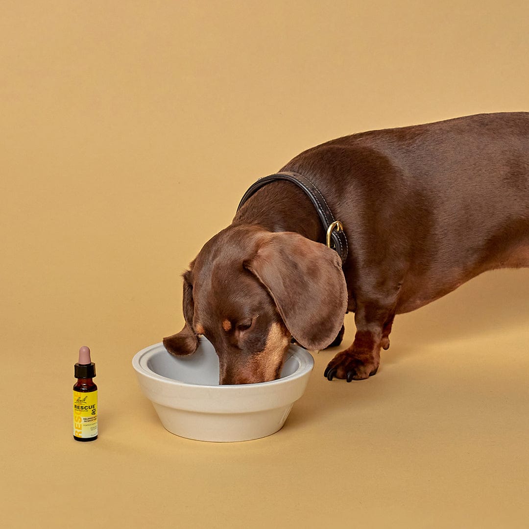 Rescue Pets RESCUE® Pets
