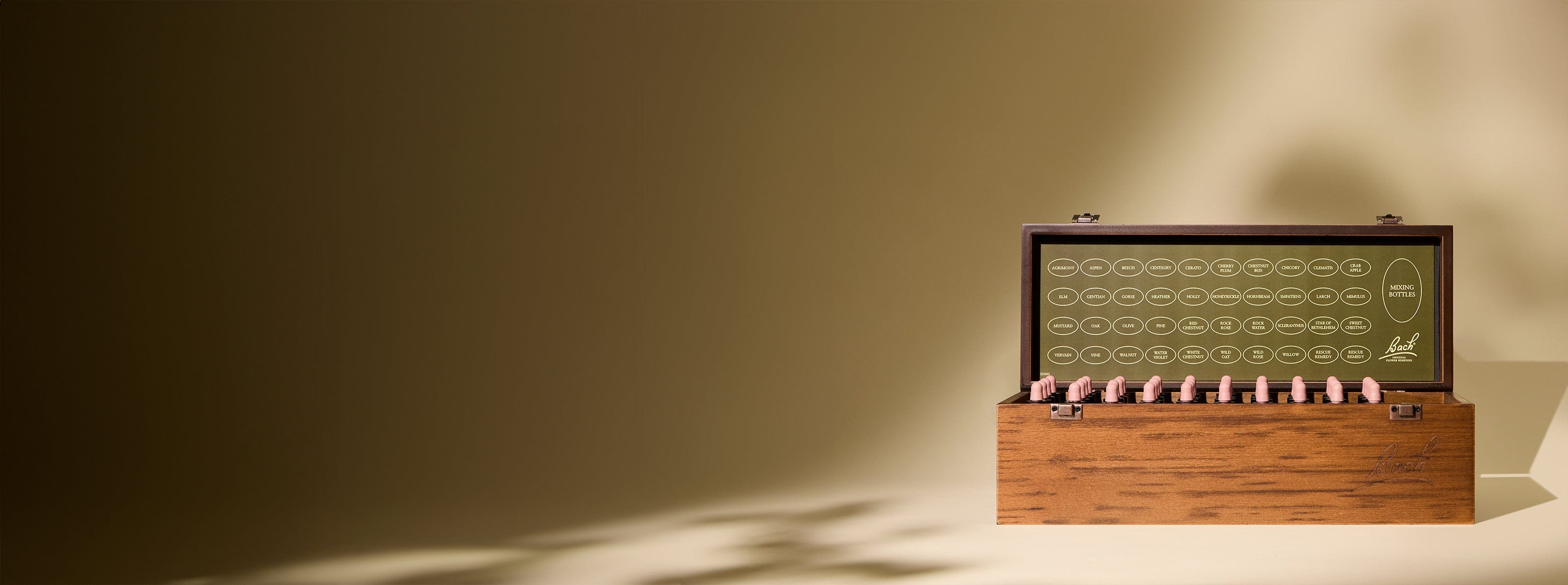 Bach™ Original Flower Remedies Wooden Box Set with Bach Signature engraved and shadow of flowers casting over box