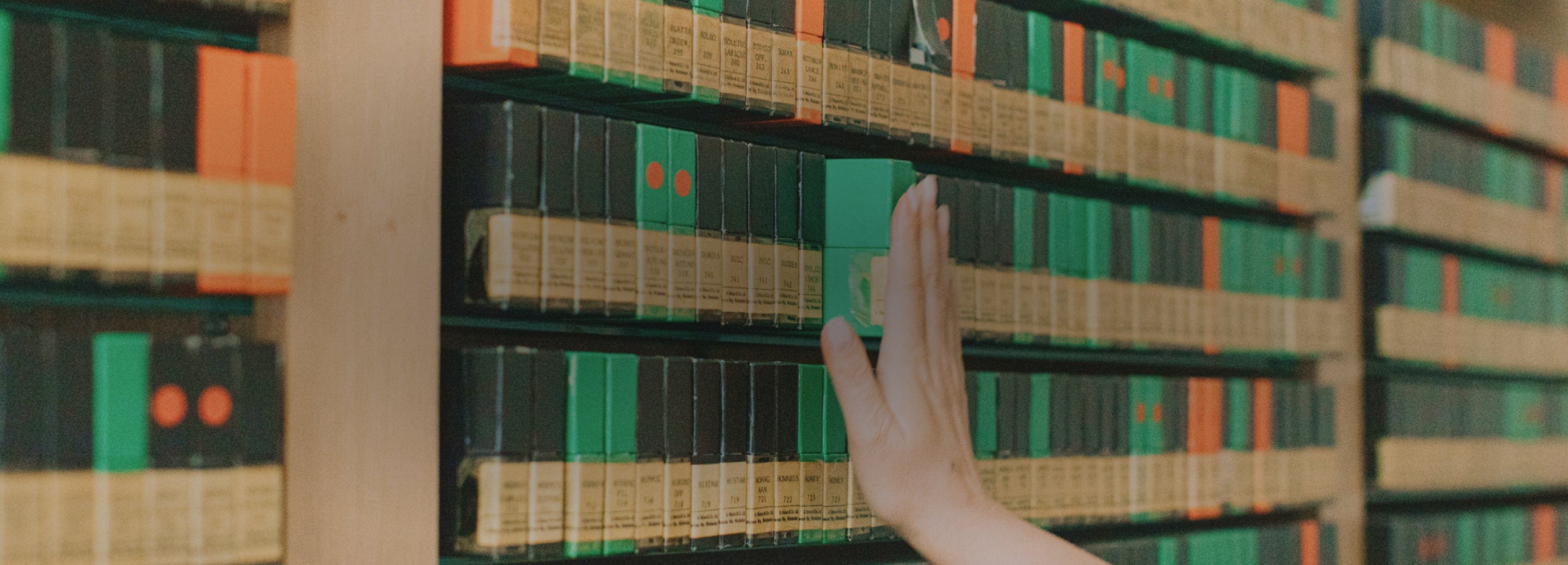 Exploring Nelsons Motherbank, a collection of ingredients for homeopathic remedies