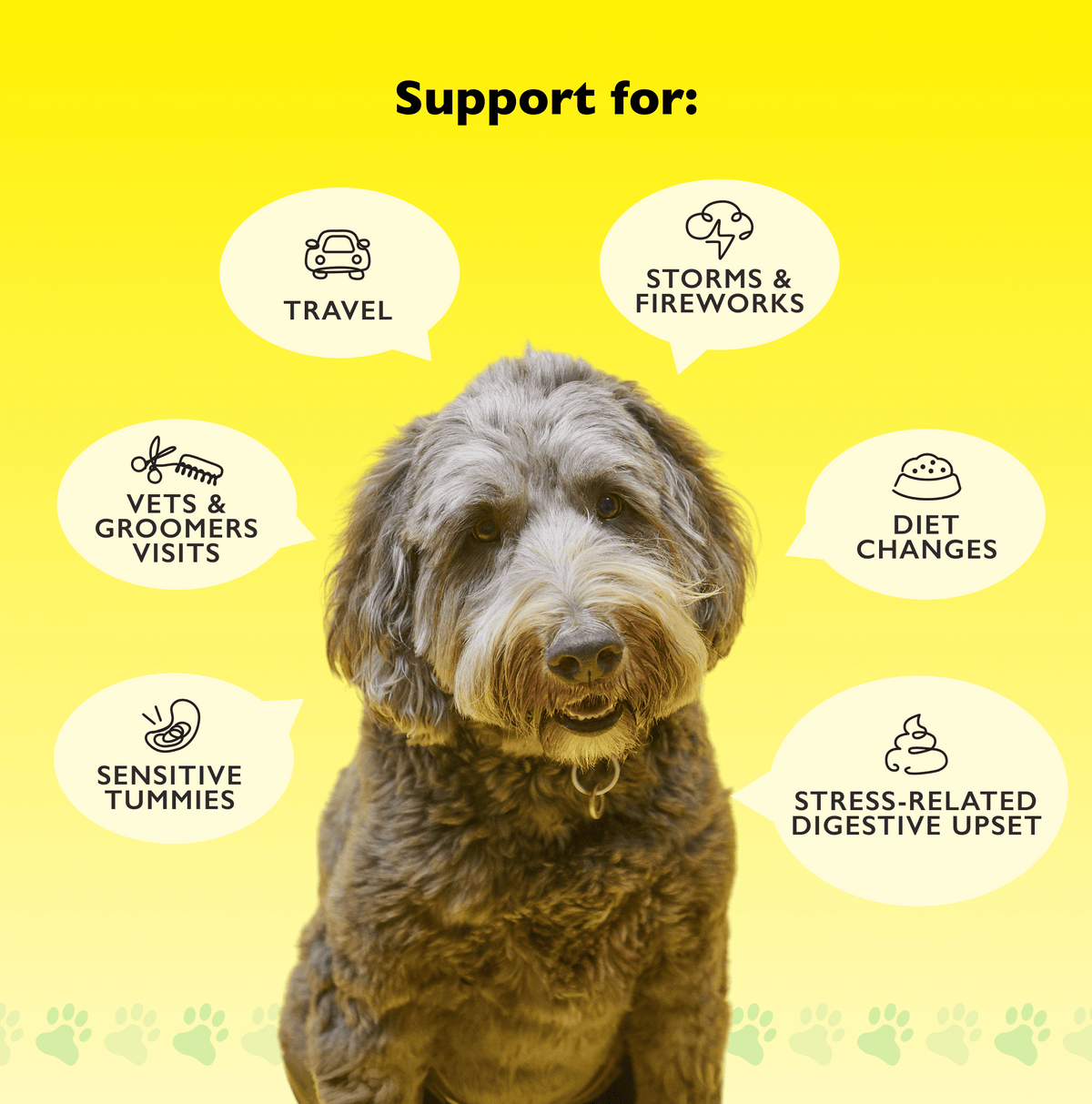 Rescue Pets 60 Chews RESCUE® Pet Calm + Gut Soft Chews for Dogs