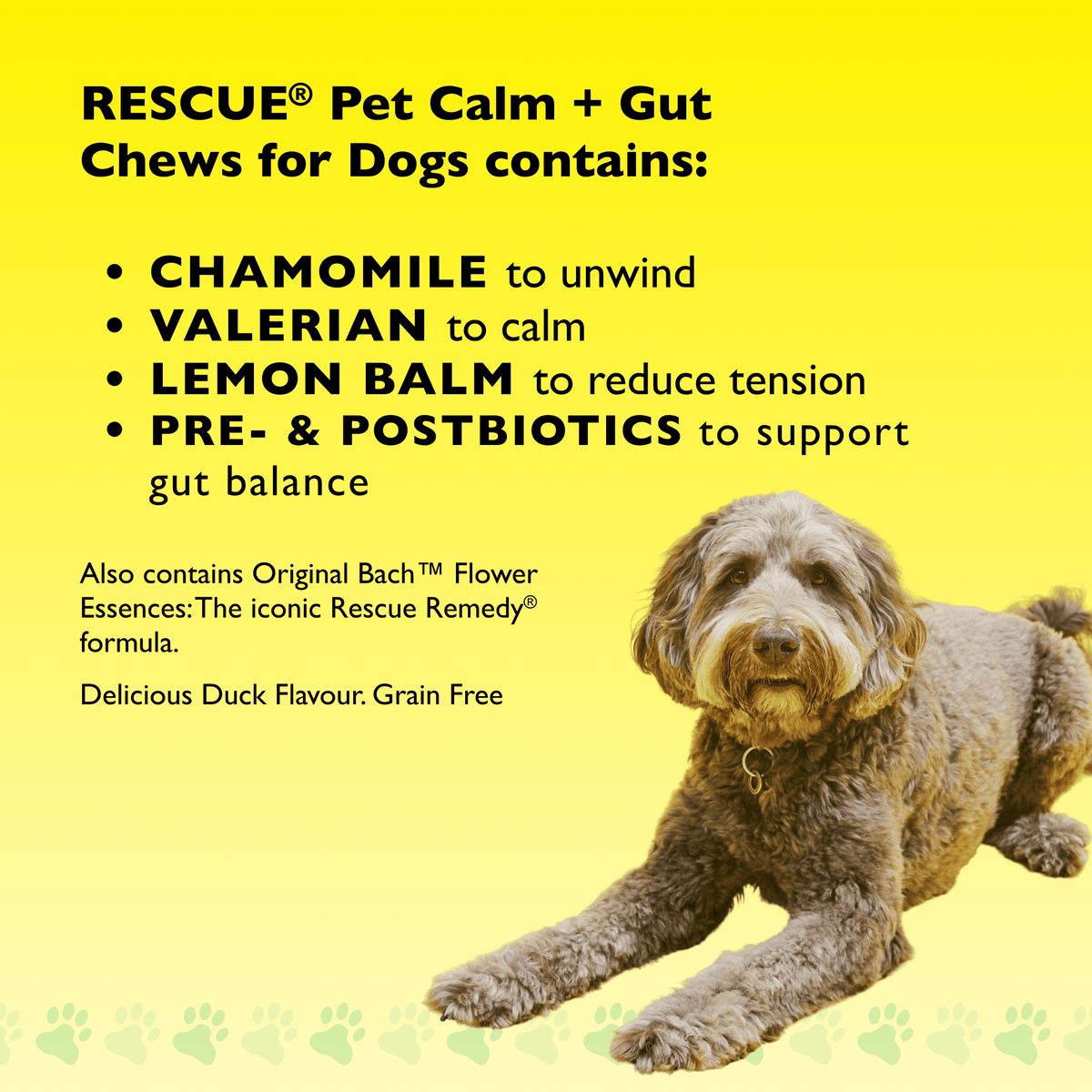 Rescue Pets 60 Chews RESCUE® Pet Calm + Gut Soft Chews for Dogs