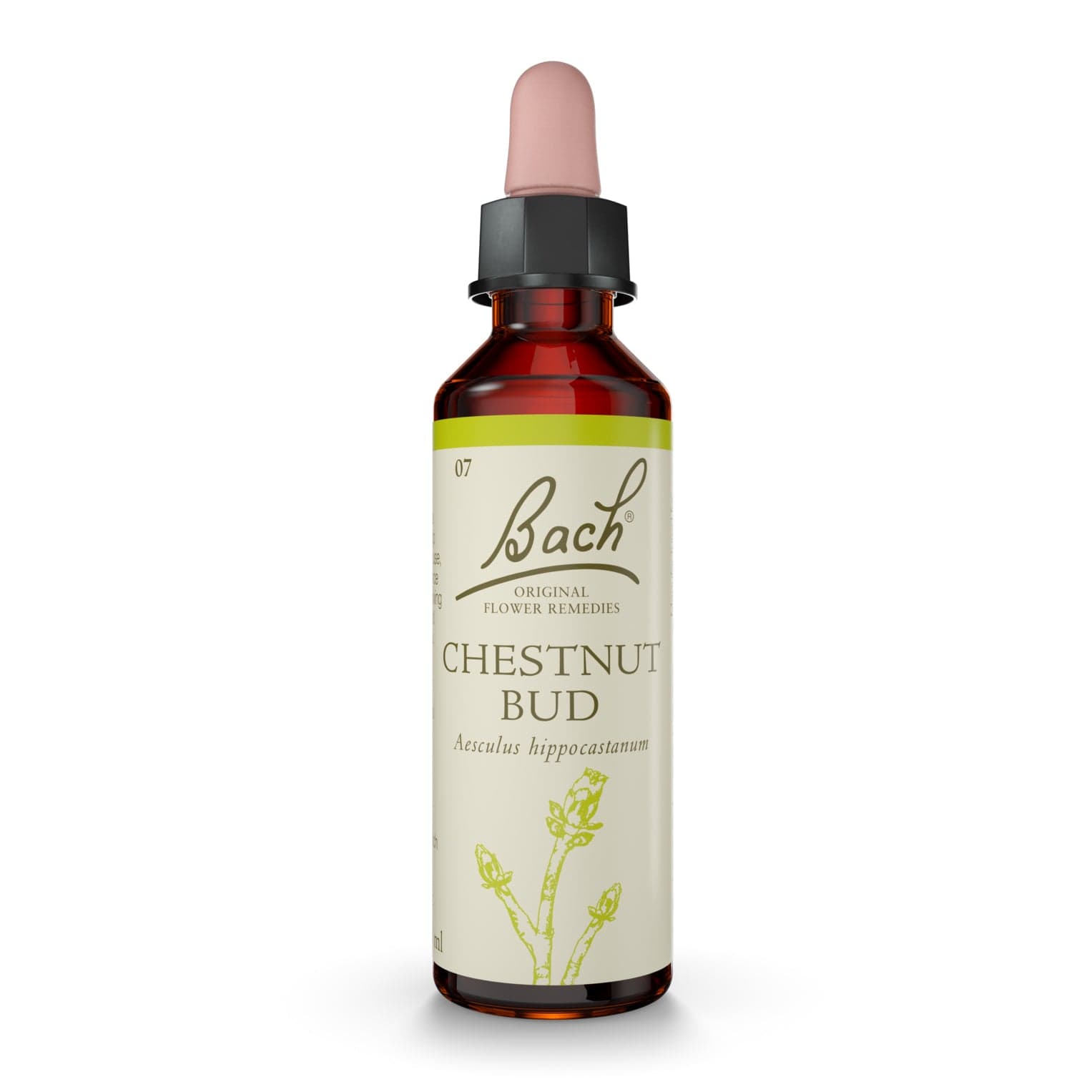 Bach Flower Remedy 20ml Chestnut Bud Bach™ Original Flower Remedy
