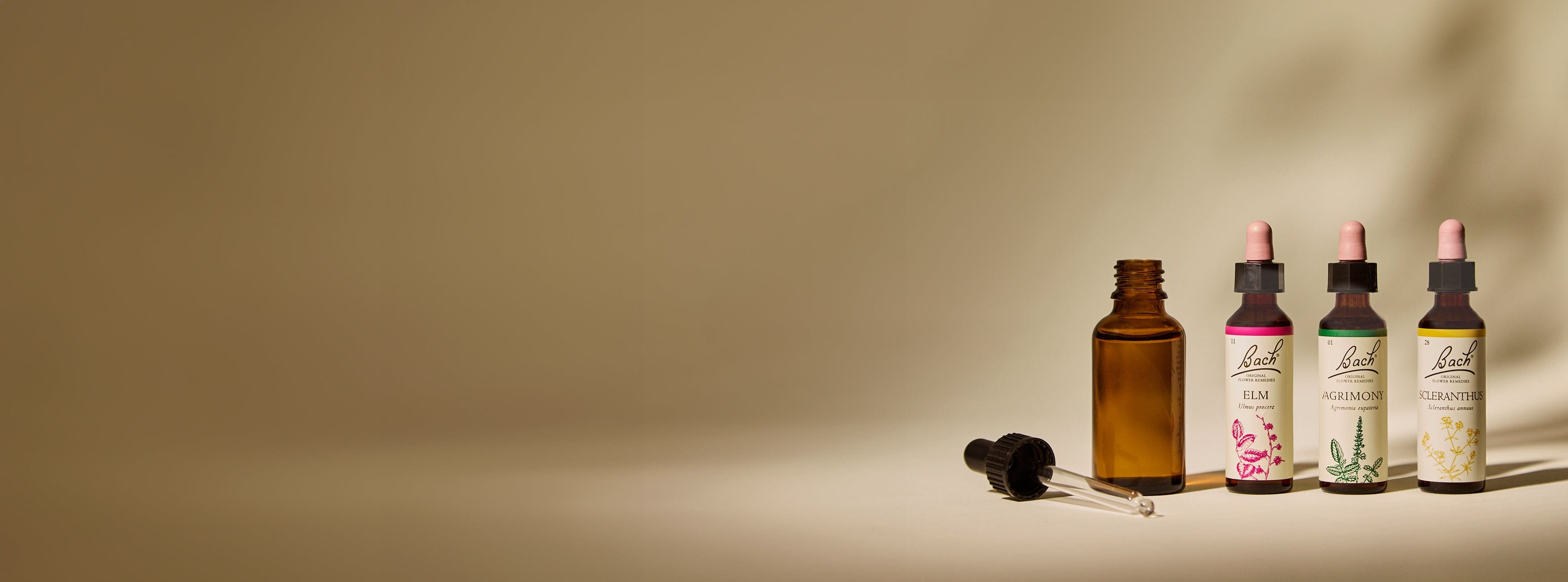 Bach™ Original Flower Remedies Elm, Agrimony, and Scleranthus Dropper 20ml with mixing bottle