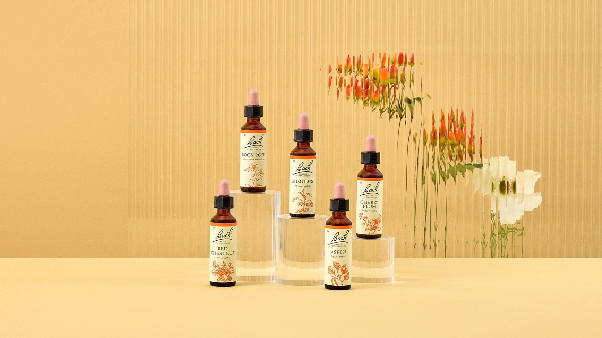 Bach™ Original Flower Remedies Rock Rose, Red Chestnut, Aspen, Mimulus and Cherry Plum of the face your fears range amongst flowers