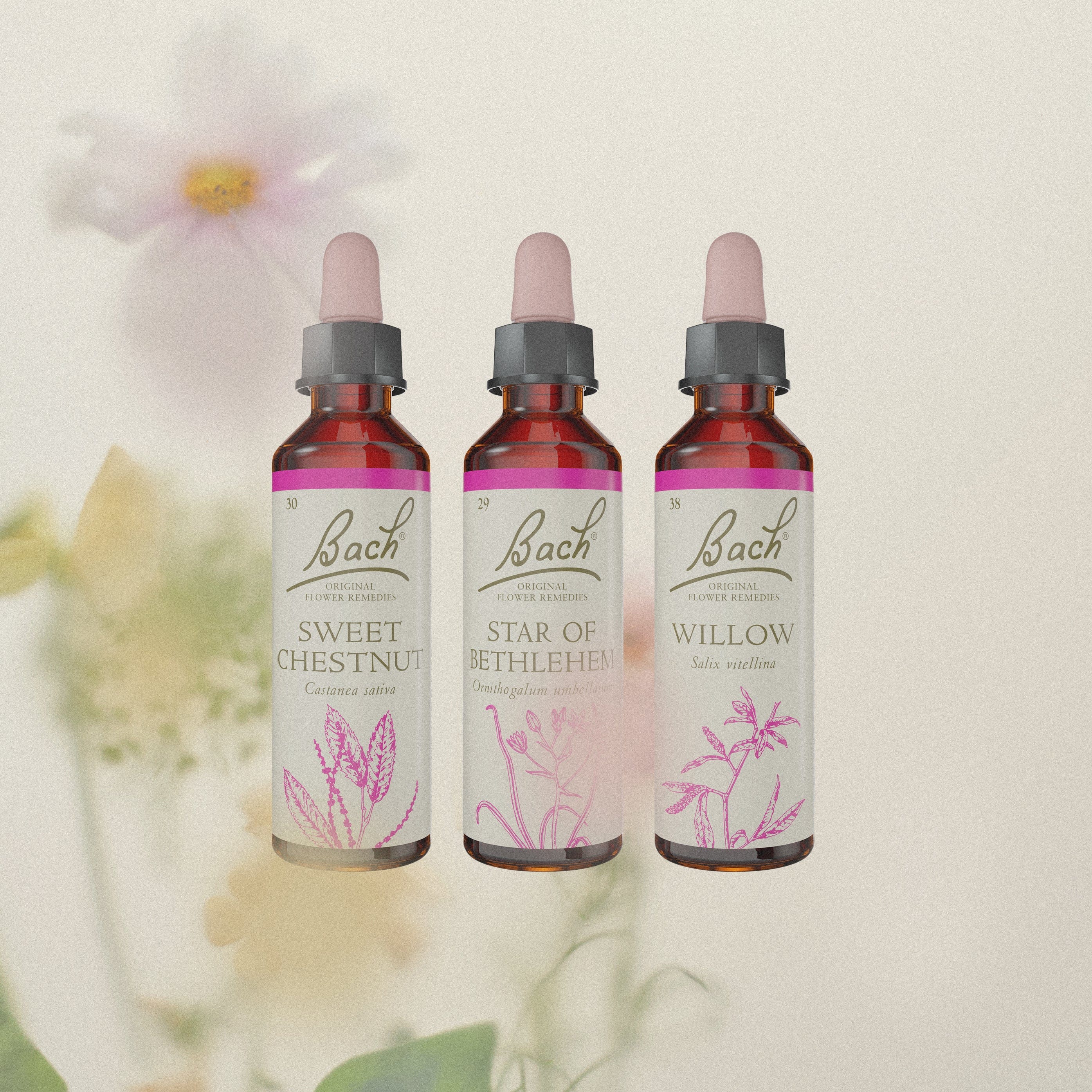 Bach™ Original Flower Remedies Sweet Chestnut, Star of Bethlehem and Willow Dropper amongst flowers