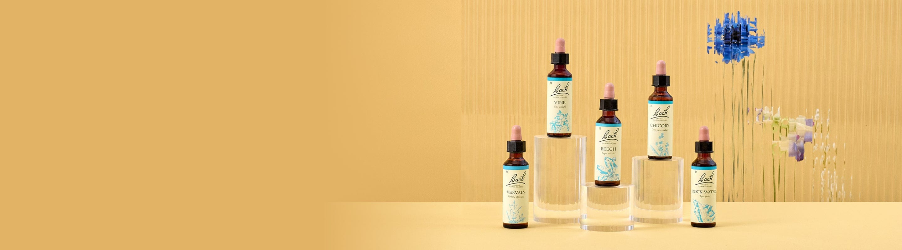 Bach Original Flower Remedies Live and Let Live collection with Vervain, Vine, Beech, Chicory and Rock Water Droppers