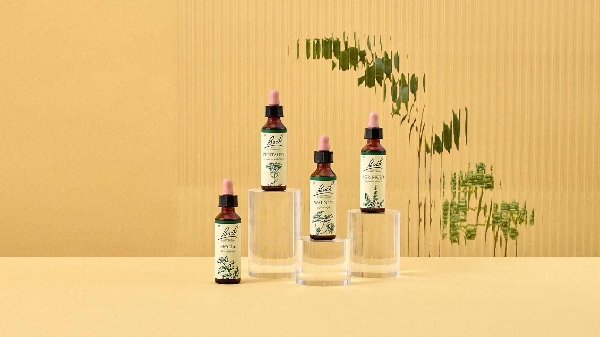 Bach™ Original Flower Remedies Holly, Centaury, Walnut and Agrimony, part of the Stand your Ground range, amongst flowers
