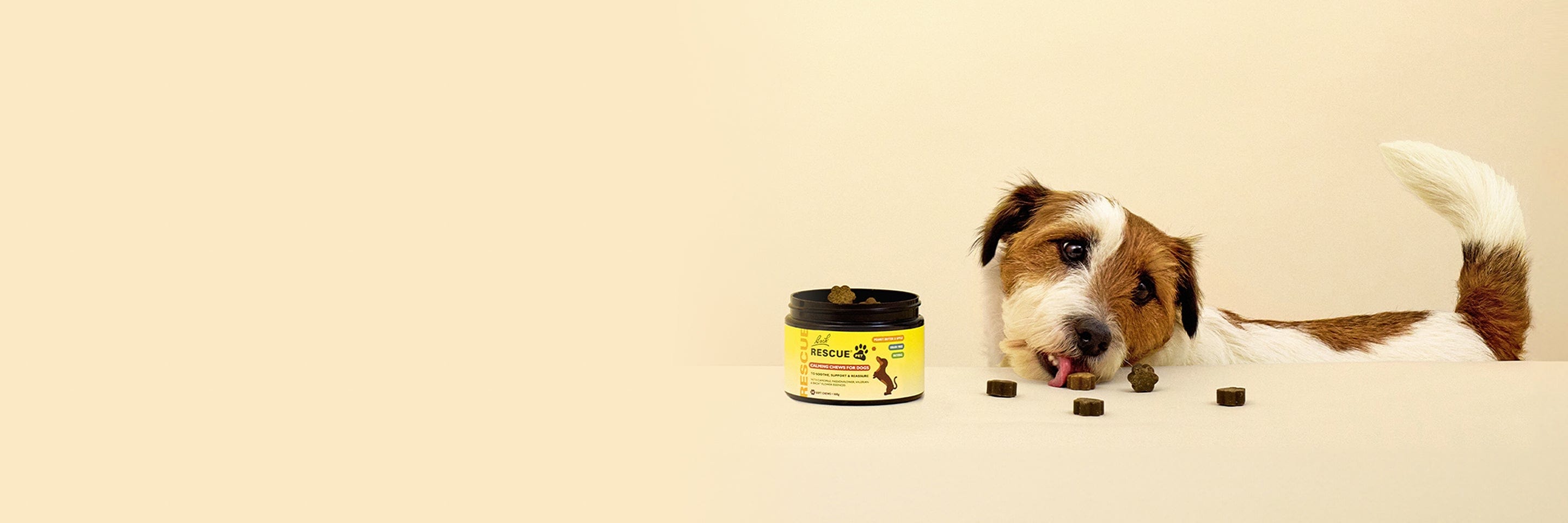 Dog licking and eating Rescue® Pet Calming Chews for Dogs from table