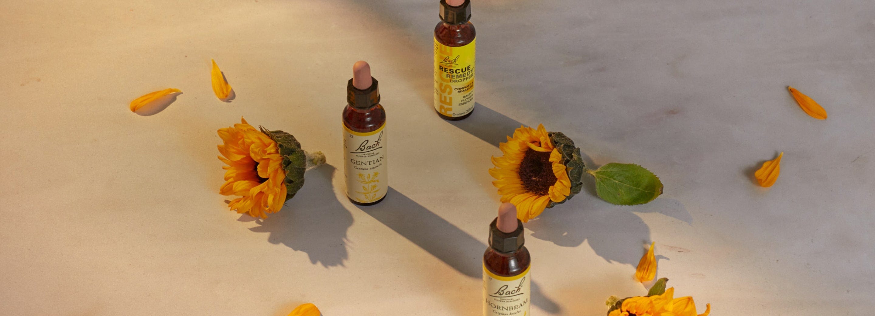 Rescue Remedy® Dropper 20ml and Bach™ Original Flower Remedies Gentian and Hornbeam surrounded by sunflowers and petals in sunlight