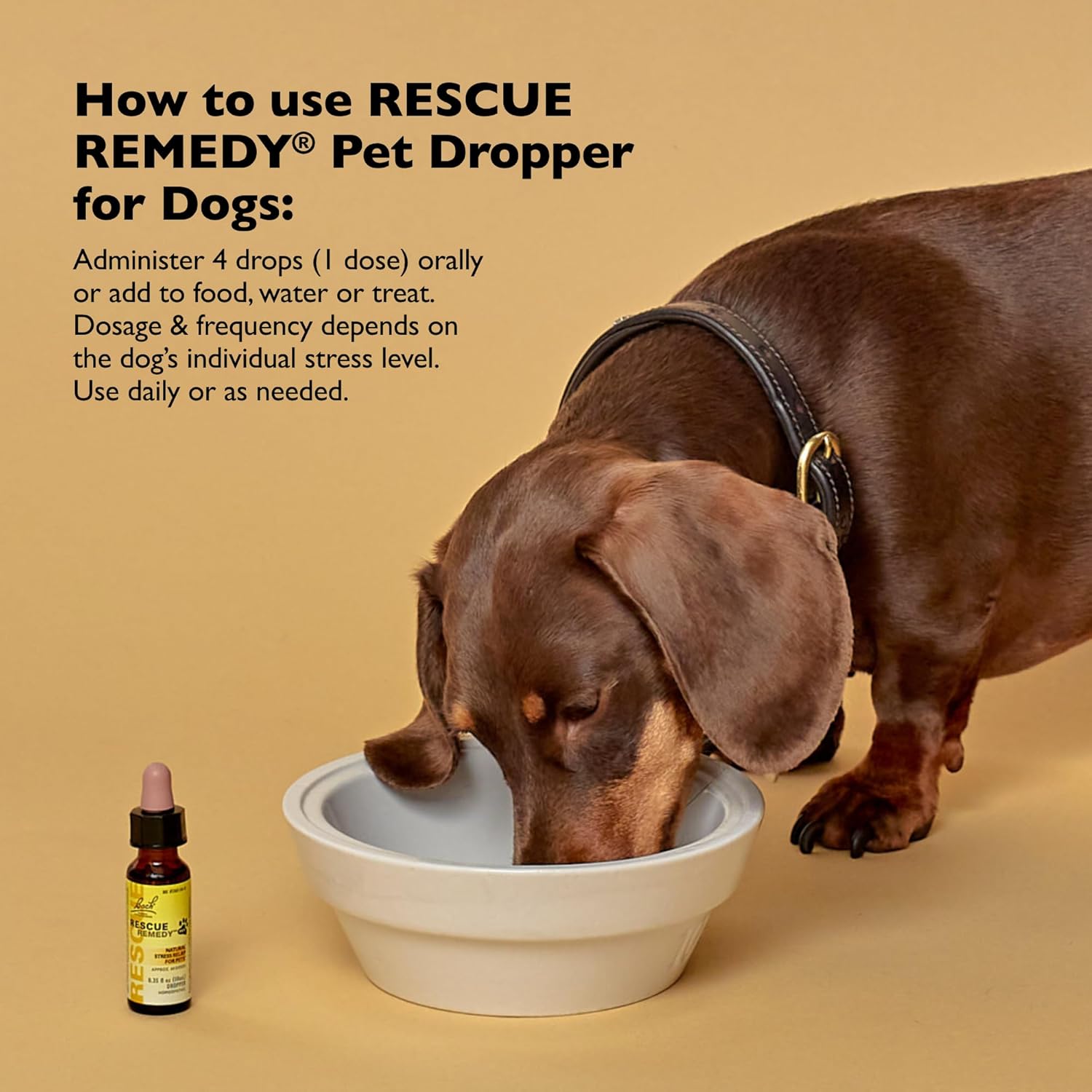 Rescue Pets RESCUE Remedy® Pet Dropper for Dogs 20 ml
