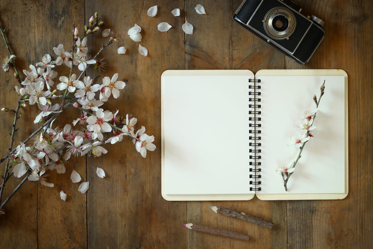 Journal on the table with flowers and retro camera