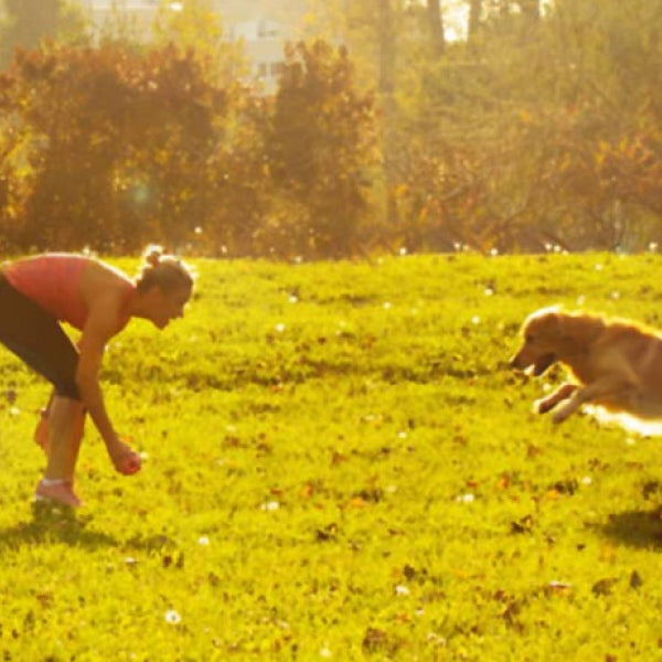 From Zoomies to Zen: Stress-Relief Tips for Your Furry Friend 