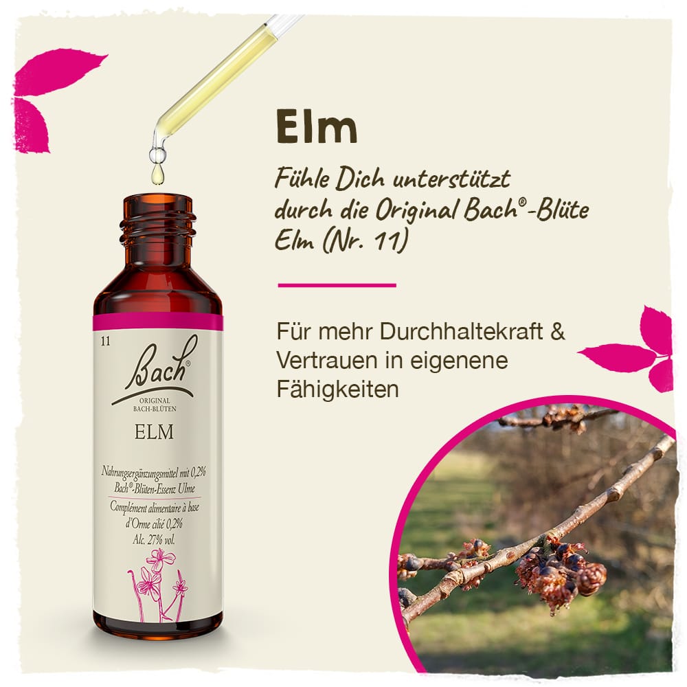 Bach Flower Remedy 20ml Original Bach® Flower Dropper Elm