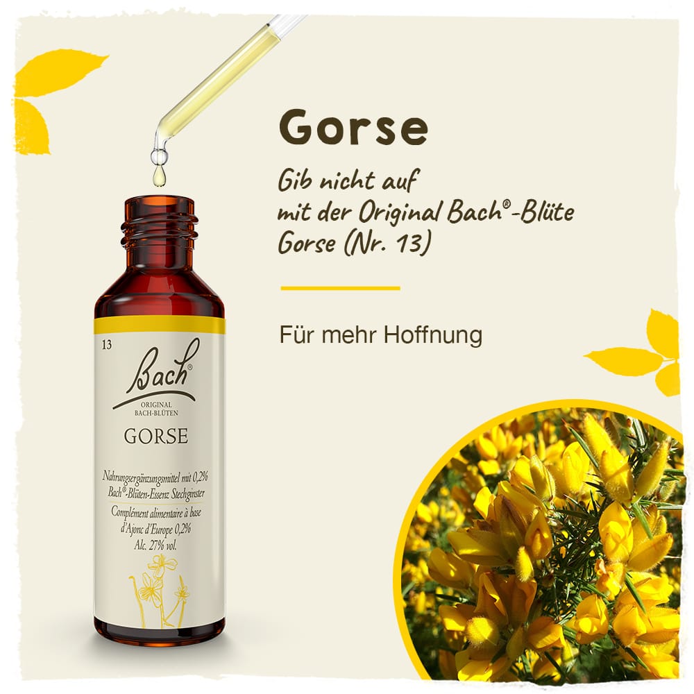 Bach Flower Remedy 20ml Original Bach® Flower Dropper Gorse