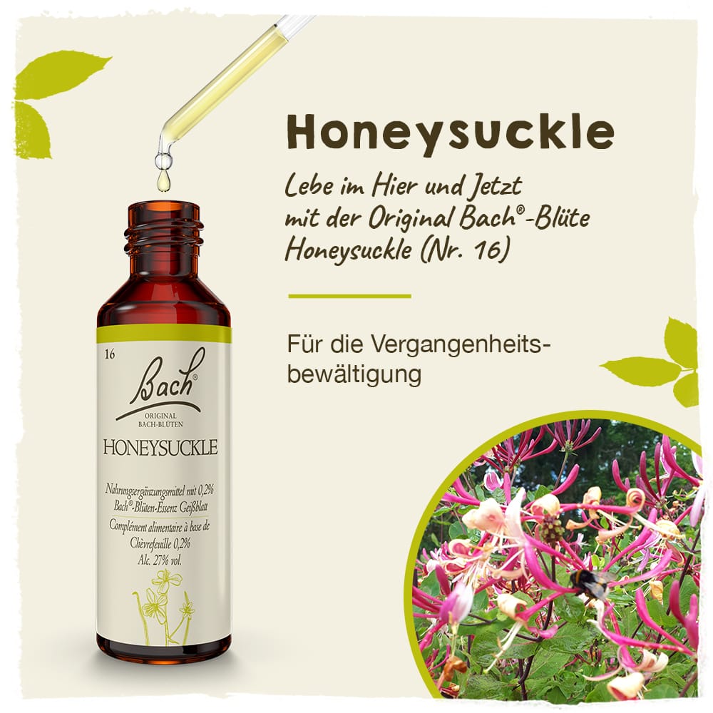 Bach Flower Remedy 20ml Original Bach® Flower Dropper Honeysuckle