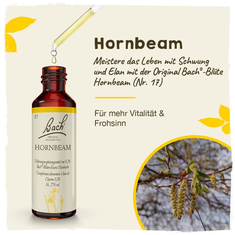 Bach Flower Remedy 20ml Original Bach® Flower Dropper Hornbeam