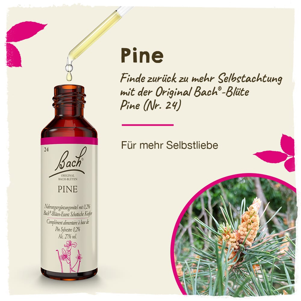 Bach Flower Remedy 20ml Original Bach® Flower Dropper Pine