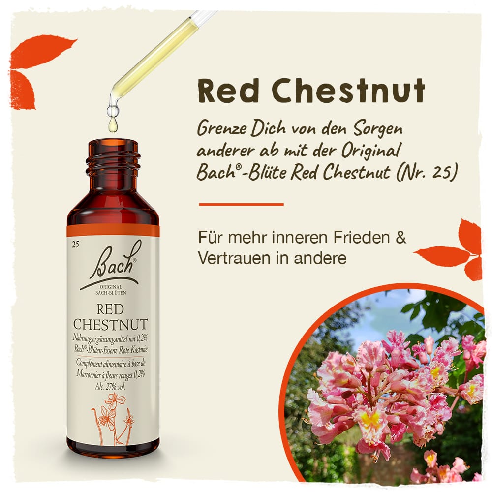 Bach Flower Remedy 20ml Original Bach® Flower Dropper Red Chestnut