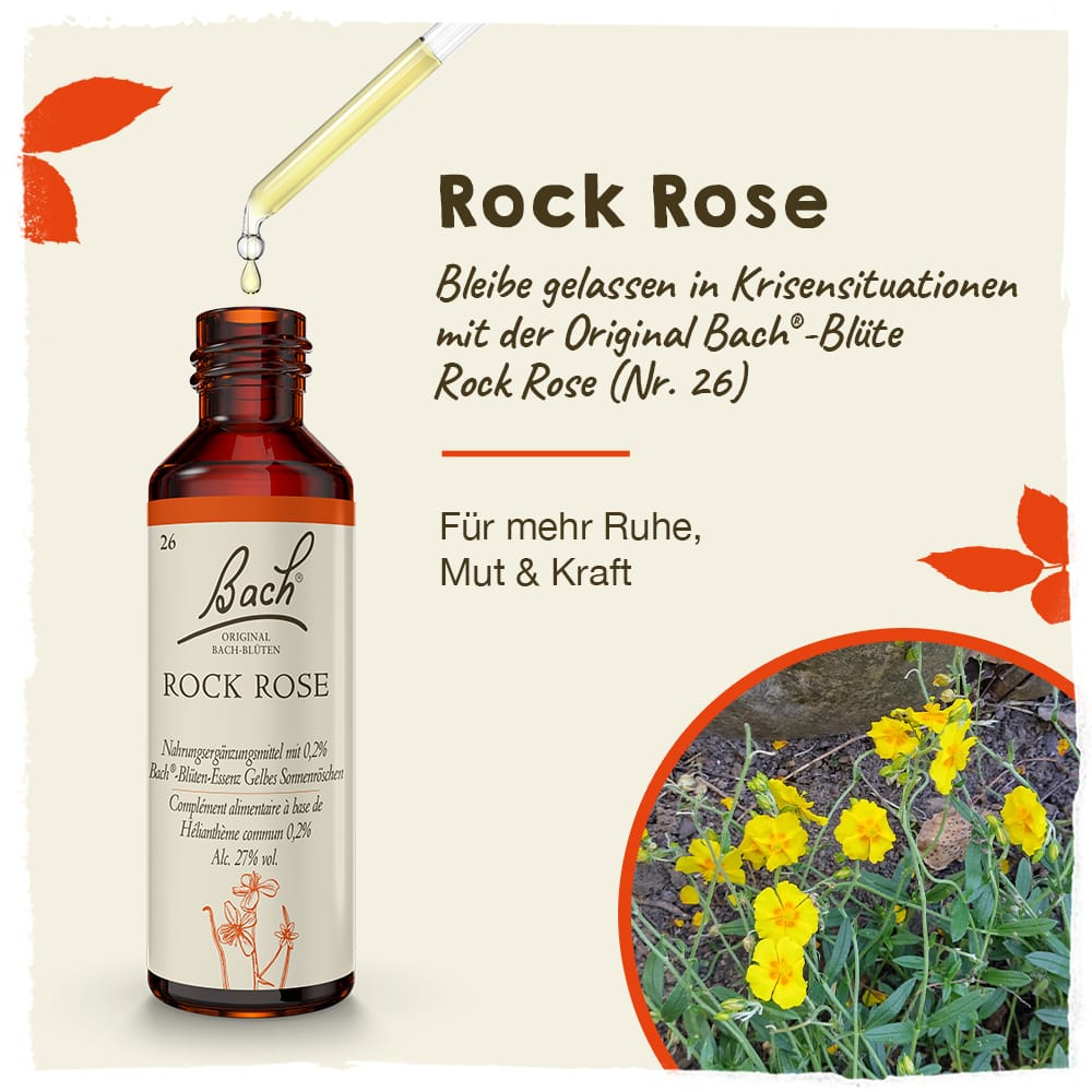 Bach Flower Remedy 20ml Original Bach® Flower Dropper Rock Rose
