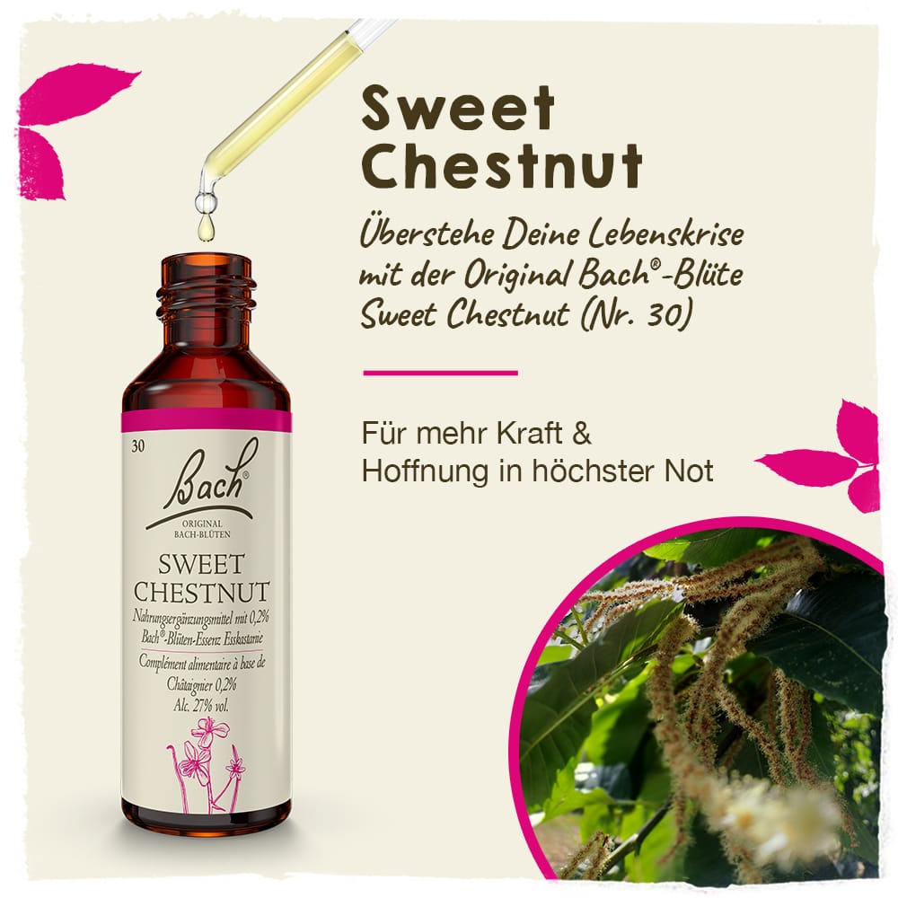 Bach Flower Remedy 20ml Original Bach® Flower Dropper Sweet Chestnut