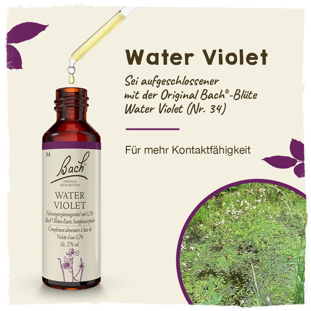 Bach Flower Remedy 20ml Original Bach® Flower Dropper Water Violet