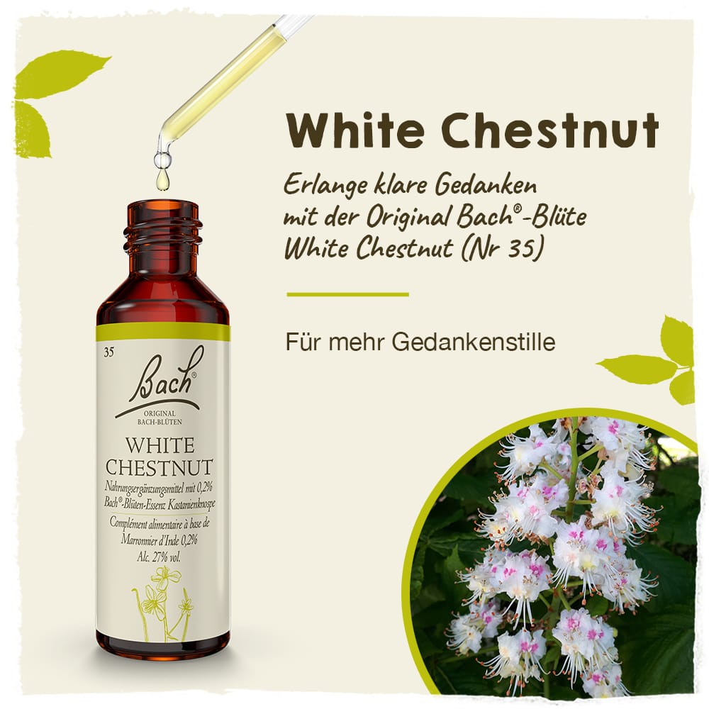 Bach Flower Remedy 20ml Original Bach® Flower Dropper White Chestnut