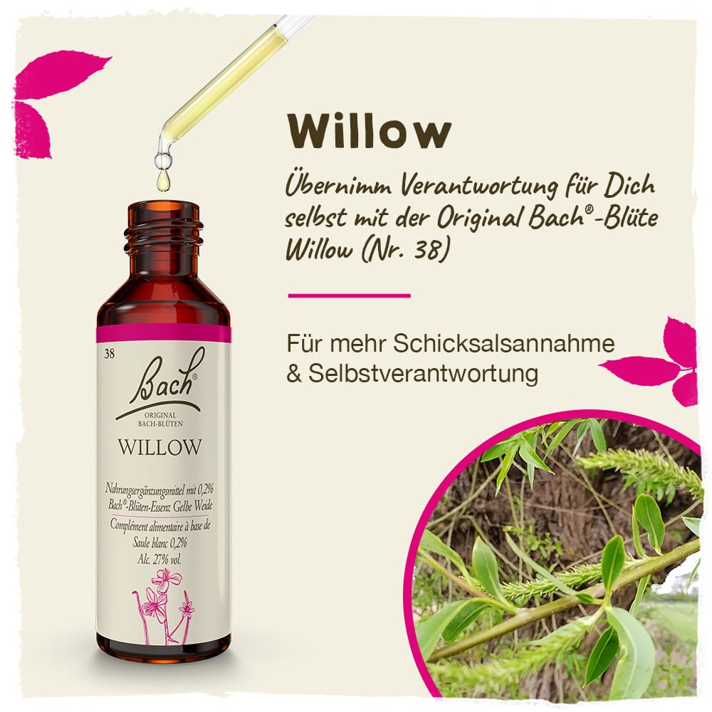 Bach Flower Remedy 20ml Original Bach® Flower Dropper Willow