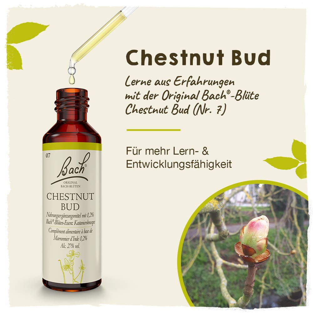 Bach Flower Remedy 20ml Original Bach® Flower Dropper Chestnut Bud