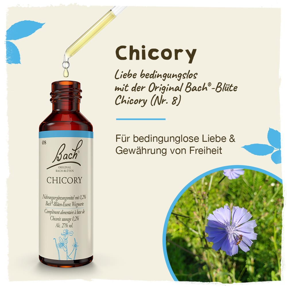 Bach Flower Remedy 20ml Original Bach® Flower Dropper Chicory