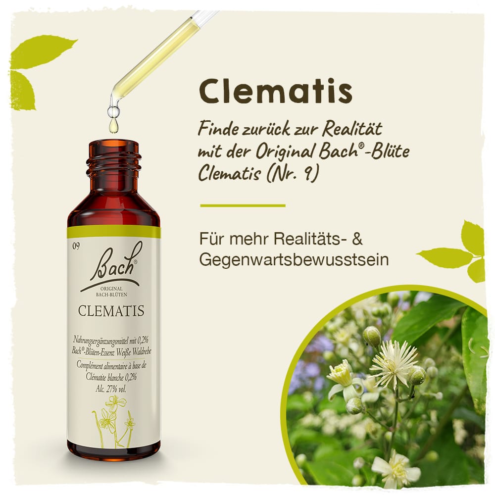 Bach Flower Remedy 20ml Original Bach® Flower Dropper Clematis