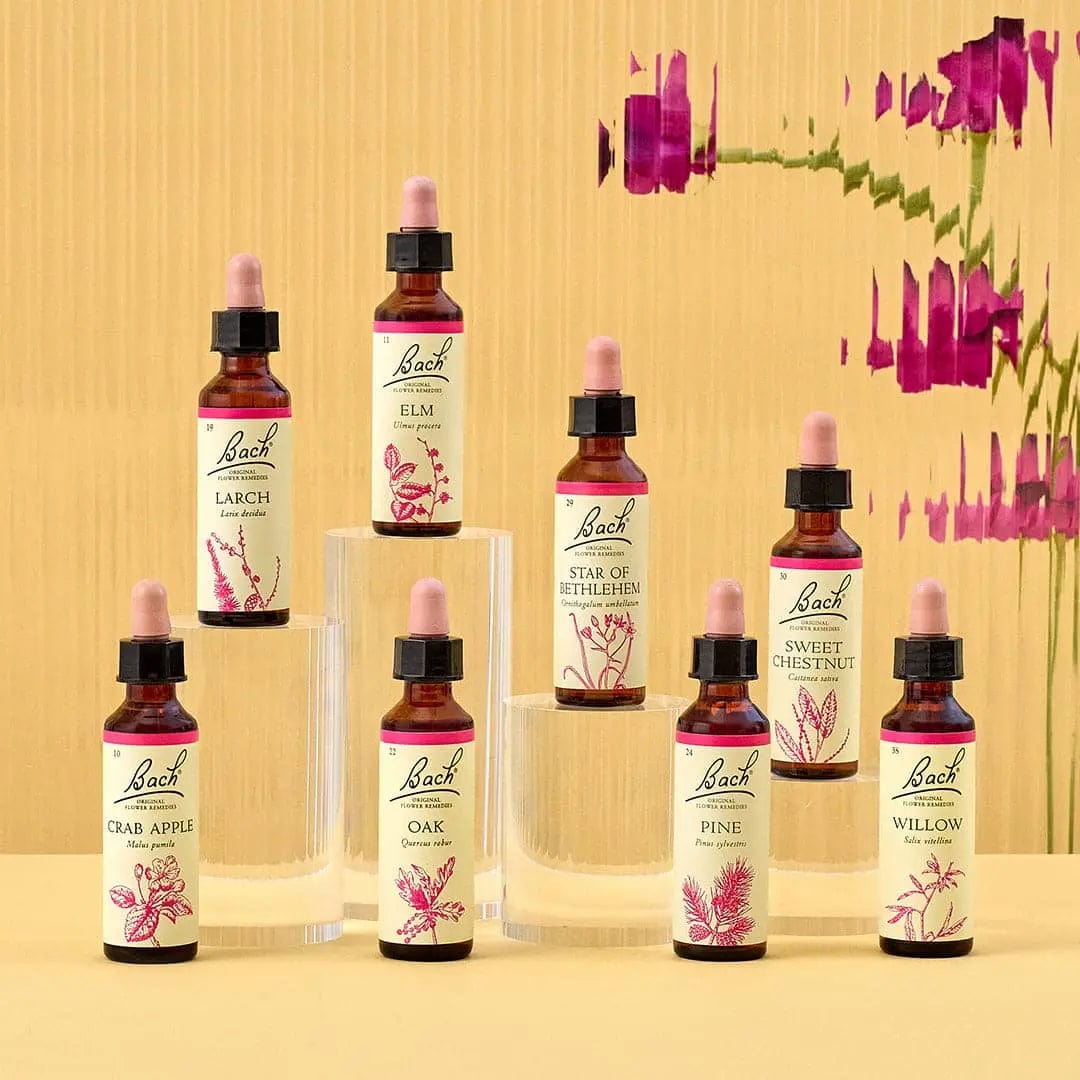 Nelsons Pharmacy Services Pharmacy Services Bach™ Flower Remedy consultation