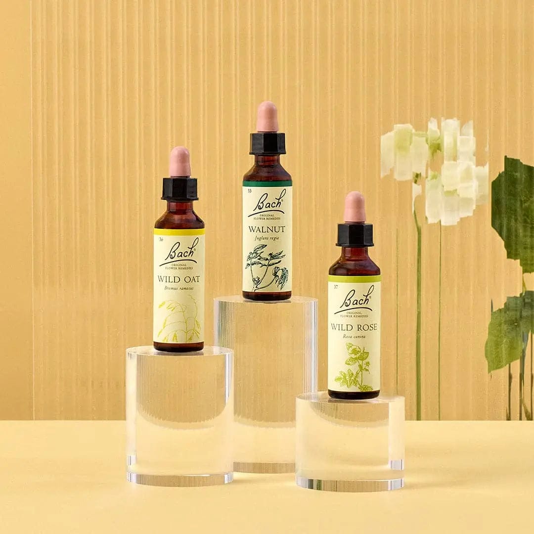 Bach Bundle 20ml Bach™ Flowers for Balance