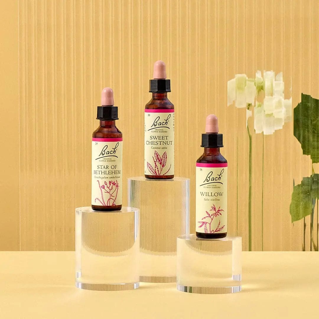Bach Bundle 20ml Bach™ Flowers for Comfort