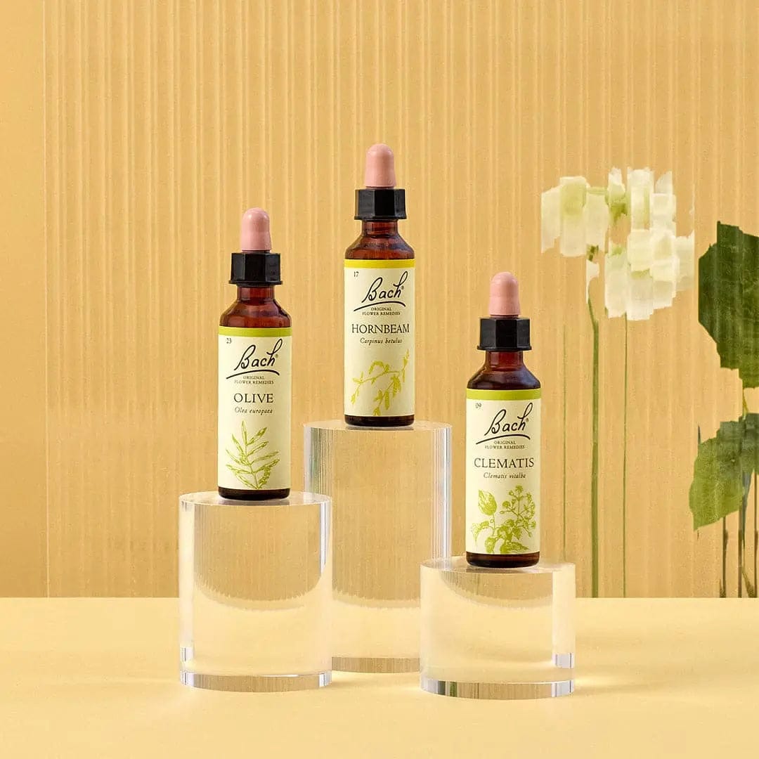 Bach Bundle 20ml Bach™ Flowers for Focus